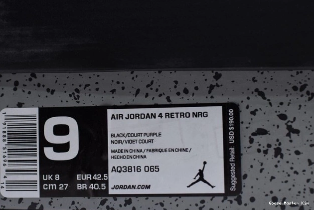 Raptors